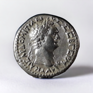 Ancient Roman Coin Domitian
